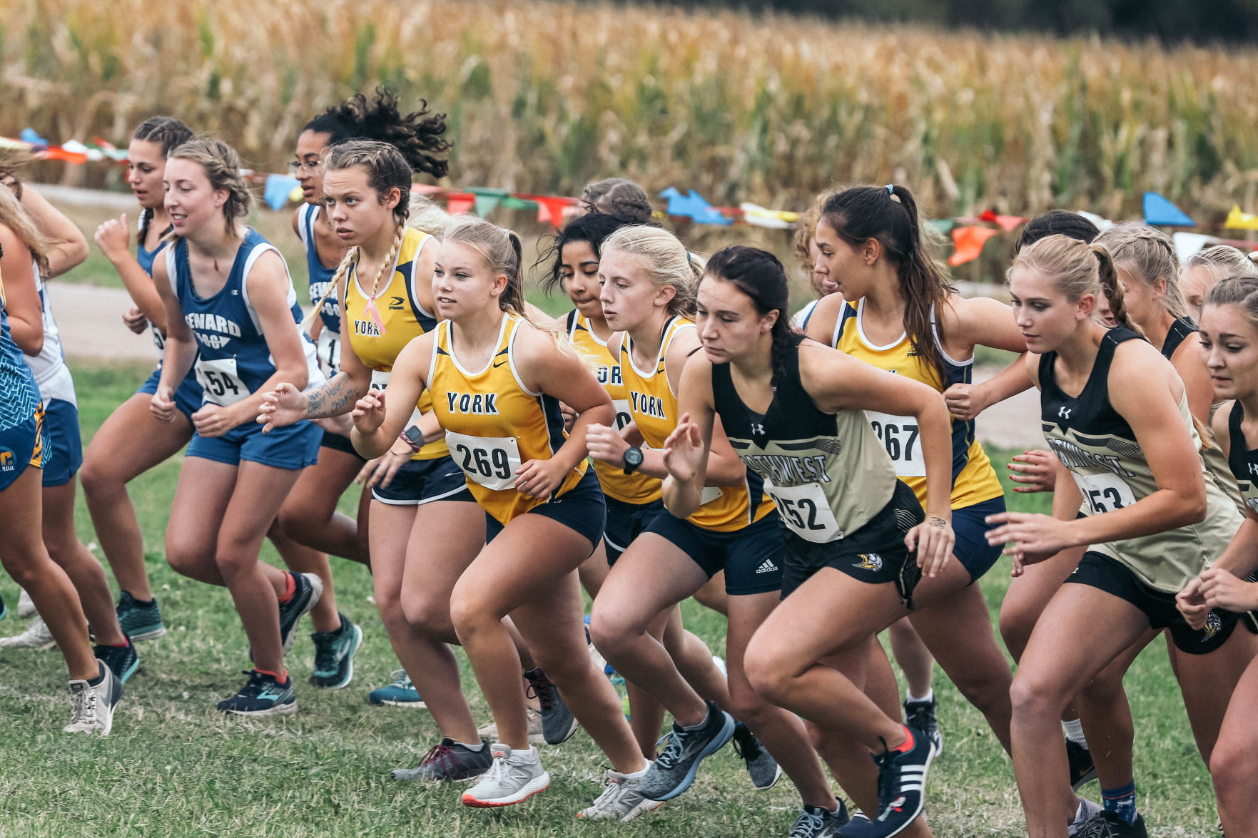 York Central Conference XC (4).jpg